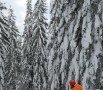 Jahorina 18.02.2012.