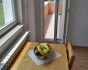 Apartmani Jakovljević