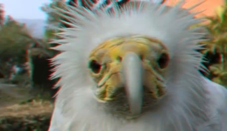 3D youtube 3D youtube