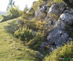 Gradina Pavlovića