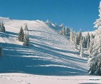 Jahorina