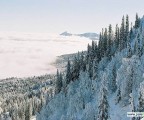 Jahorina