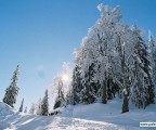 Jahorina
