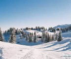 Jahorina