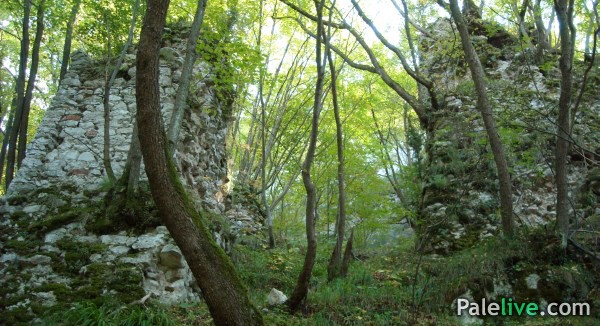Kapija grada
