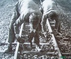 Željeznica - Voz Ćiro