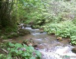 Rijeka Bistrica