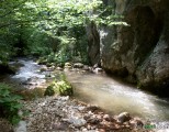 Rijeka Bistrica