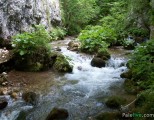 Rijeka Bistrica