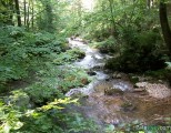 Rijeka Bistrica