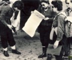 Dom izviđača u Palama
