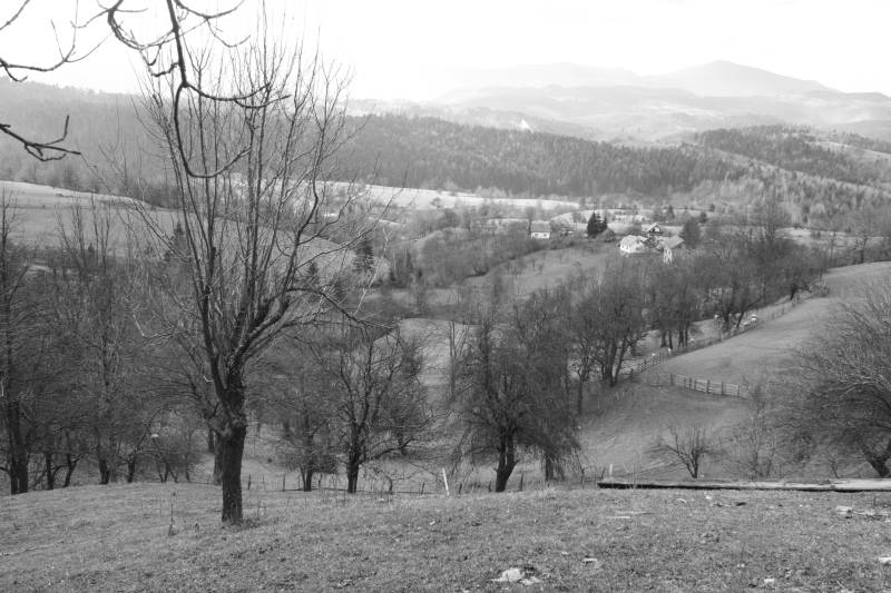 Zaseok Polje