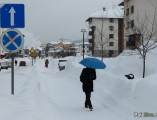 Poplave decembar 2010