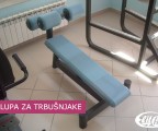 Elit Fit