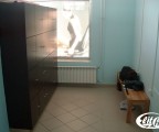 Elit Fit