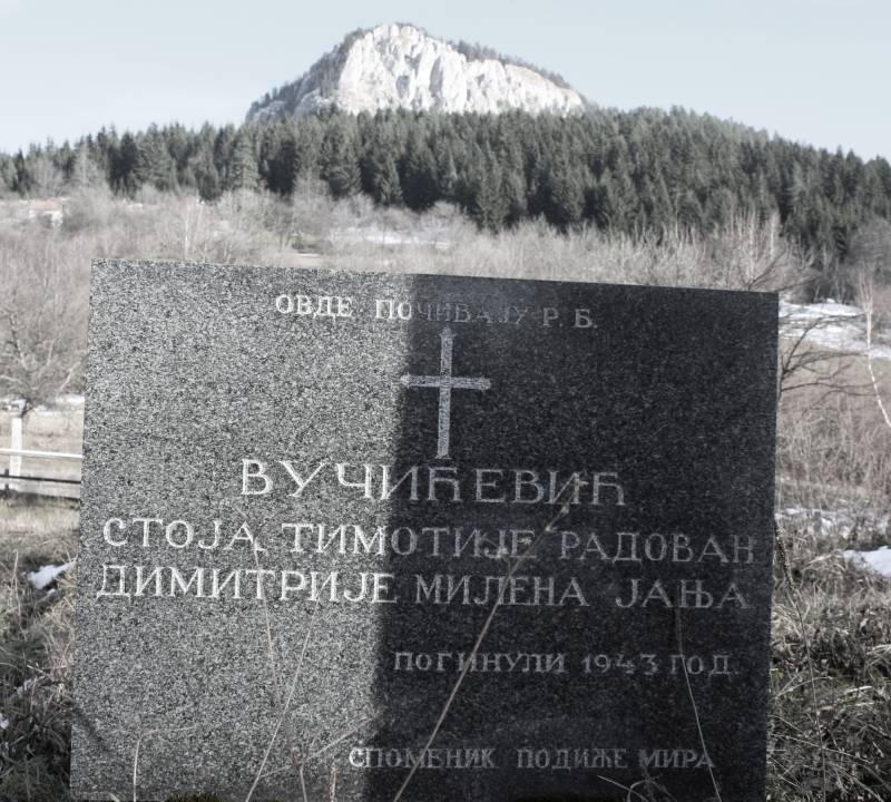 Spomenik stradalim Vučićevićima na groblju Visočnik