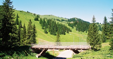 Jahorina ljeti