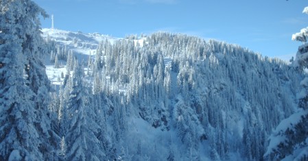 Jahorina