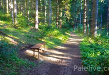 Goli Koran – Najljepša oaza mira