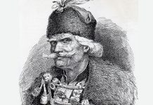 Hajduk Starina Novak