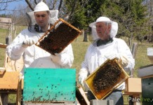 Deveti Međunarodni sajam meda