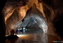 Pećina izvora Mokranjske Miljacke