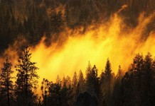 Apel građanima: Spriječiti požare