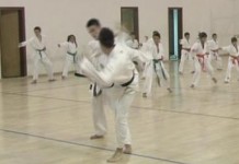 Karatisti „Nipona“ osvojili 12 medalja na Mećavniku