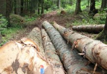 Dobit „Sjemeća“ za pet mjeseci 44.000 KM