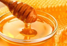 Sutra Međunarodni sajam meda