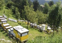 Donirana oprema Udruženju pčelara „Sat“