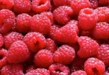 Ugovori sa 18 malinara