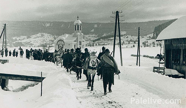 Домобрани у Палама 1942. године