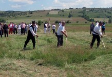 U Brezjaku „Dan kosidbe“