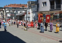 Dan opštine i krsna slava