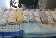 Drugi put u ovoj godini rođeno 11 beba za jedan dan