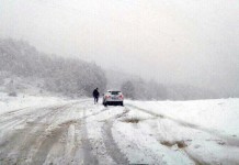 Snijeg na Rogoju, Han Pogledu i Romaniji
