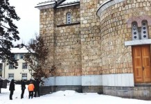 Posječena četiri velika badnjaka