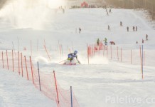 Zlato za domaće takmičare