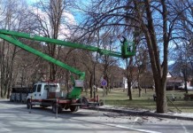 Orezane visoke krošnje i posječena suva stabla