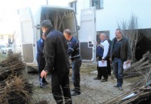 Sadnice voća po duplo manjim cijenama