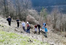 Organizovana akcija uređenja jevrejskog groblja