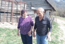 Vukovi zaklali 10 ovaca