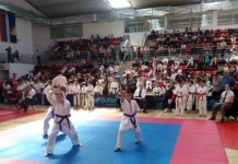 Davidovićeva obećala veću podršku za karate
