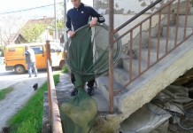 Uhvaćeno 20 pasa lutalica