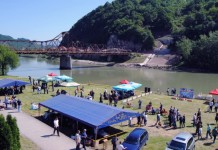 Najljepši pas zlatni retriver iz Kovina