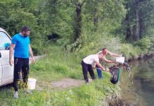 Drina poribljena pastrmkom i šaranom