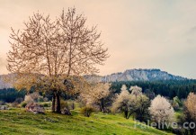 Za rekonstrukciju planinarskog doma „Stajna“ 16.000 KM