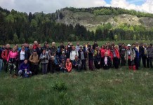 Zelengorski narcis – magnet za planinare