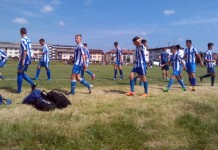 Počeo Memorijalni turnir „Srđan Tomić“